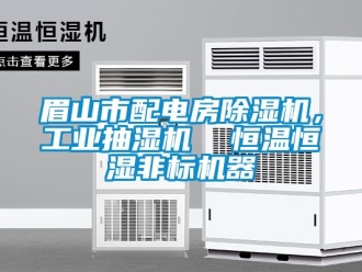 常見問題眉山市配電房除濕機(jī)，工業(yè)抽濕機(jī)  恒溫恒濕非標(biāo)機(jī)器