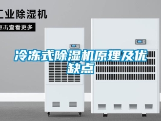 行業(yè)新聞冷凍式除濕機原理及優(yōu)缺點