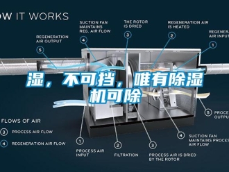 知識(shí)百科濕，不可擋，唯有除濕機(jī)可除