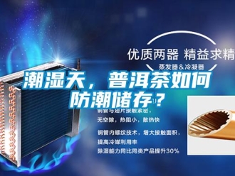 常見問題潮濕天，普洱茶如何防潮儲存？