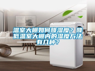 企業新聞溫室大棚如何降濕度？降低溫室大棚內的濕度方法有幾種？