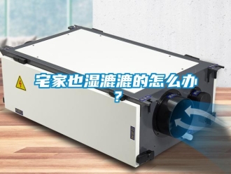 常見問題宅家也濕漉漉的怎么辦？