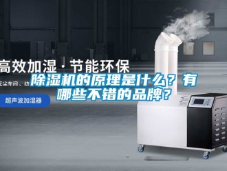 企業(yè)新聞除濕機(jī)的原理是什么？有哪些不錯(cuò)的品牌？