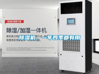 常見問題除濕機，一年四季都有用