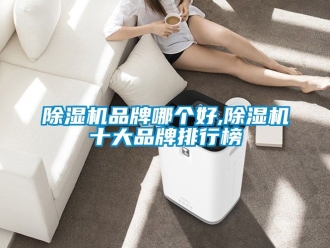 企業新聞除濕機品牌哪個好,除濕機十大品牌排行榜