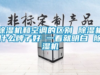 行業新聞除濕機和空調的區別 除濕機什么牌子好 一看就明白 除濕機
