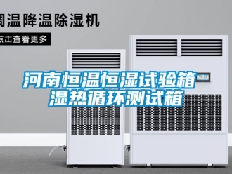 知識(shí)百科河南恒溫恒濕試驗(yàn)箱 濕熱循環(huán)測(cè)試箱