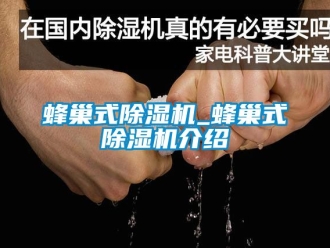 行業(yè)新聞蜂巢式除濕機(jī)_蜂巢式除濕機(jī)介紹