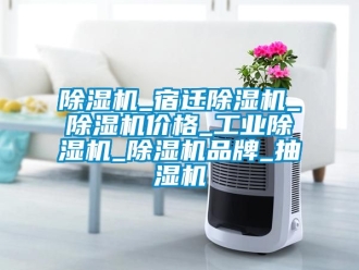 常見(jiàn)問(wèn)題除濕機(jī)_宿遷除濕機(jī)_除濕機(jī)價(jià)格_工業(yè)除濕機(jī)_除濕機(jī)品牌_抽濕機(jī)