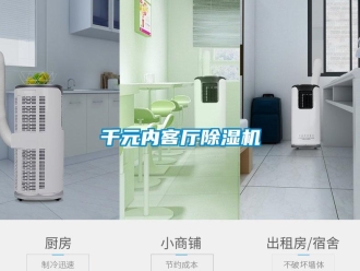 行業(yè)新聞千元內(nèi)客廳除濕機(jī)
