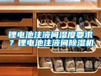 行業(yè)新聞鋰電池注液間濕度要求？鋰電池注液間除濕機(jī)