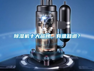 企業(yè)新聞除濕機(jī)十大品牌，有誰知道？