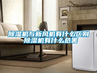 常見(jiàn)問(wèn)題除濕機(jī)與新風(fēng)機(jī)有什么區(qū)別 除濕機(jī)有什么危害