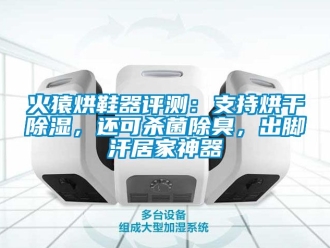 行業新聞火猿烘鞋器評測：支持烘干除濕，還可殺菌除臭，出腳汗居家神器