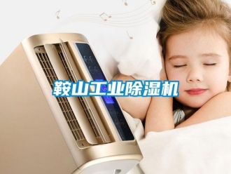 常見問題鞍山工業除濕機