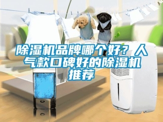企業新聞除濕機品牌哪個好？人氣款口碑好的除濕機推薦
