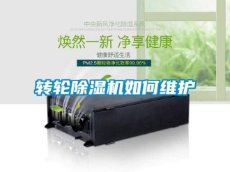常見問題轉輪除濕機如何維護