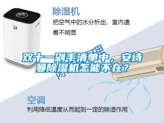 企業新聞雙十一剁手清單中，安詩曼除濕機怎能不在？