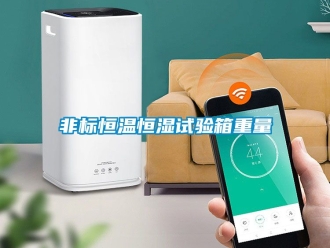 知識百科非標(biāo)恒溫恒濕試驗(yàn)箱重量
