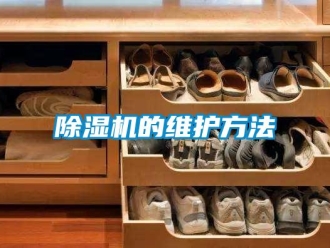 常見(jiàn)問(wèn)題除濕機(jī)的維護(hù)方法