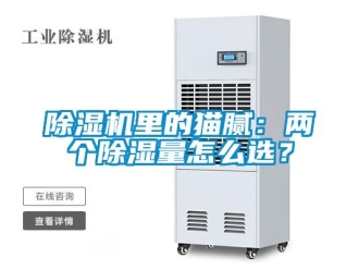 常見(jiàn)問(wèn)題除濕機(jī)里的貓膩：兩個(gè)除濕量怎么選？
