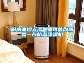 企業新聞廚房油煙大濕氣重可能你需要一臺防潮除濕機