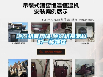 行業新聞除濕機有用嗎,除濕機是怎樣的一種存在