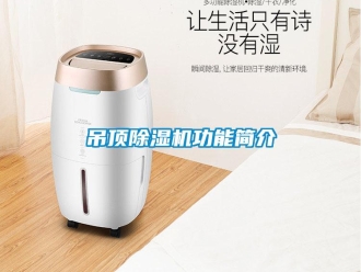 企業(yè)新聞吊頂除濕機(jī)功能簡介