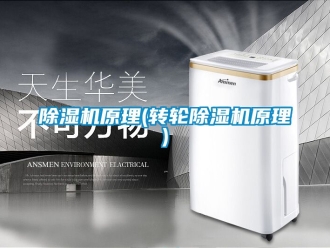常見問題除濕機原理(轉(zhuǎn)輪除濕機原理)