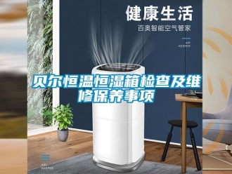 常見問題貝爾恒溫恒濕箱檢查及維修保養(yǎng)事項