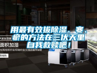 企業新聞用最有效拔除濕、寒、瘀的方法在三伏天里自我救贖吧！