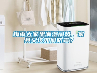 常見問題梅雨天家里潮濕悶熱，家具又該如何防霉？