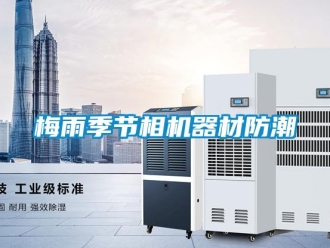 行業(yè)新聞梅雨季節(jié)相機(jī)器材防潮