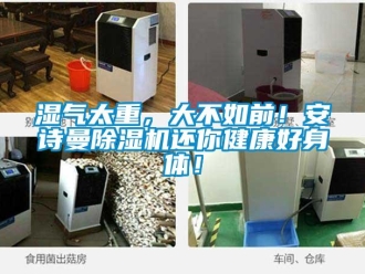 企業新聞濕氣太重，大不如前！安詩曼除濕機還你健康好身體！