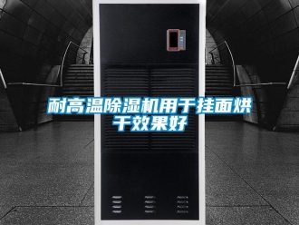 行業(yè)新聞耐高溫除濕機(jī)用于掛面烘干效果好