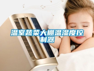企業新聞溫室蔬菜大棚溫濕度控制器