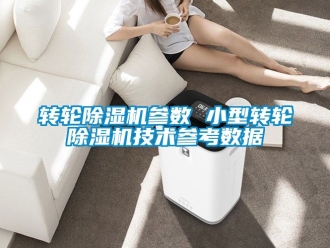 常見問題轉(zhuǎn)輪除濕機參數(shù) 小型轉(zhuǎn)輪除濕機技術(shù)參考數(shù)據(jù)