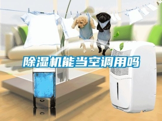 行業(yè)新聞除濕機能當空調(diào)用嗎
