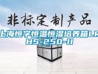 知識百科上海恒字恒溫恒濕培養箱LRHS-250-II