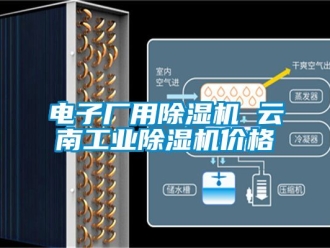 常見問題電子廠用除濕機 云南工業(yè)除濕機價格