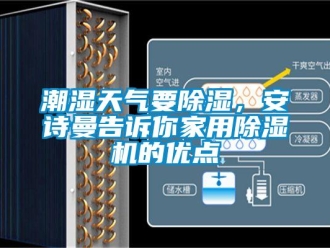 企業(yè)新聞潮濕天氣要除濕，安詩(shī)曼告訴你家用除濕機(jī)的優(yōu)點(diǎn)