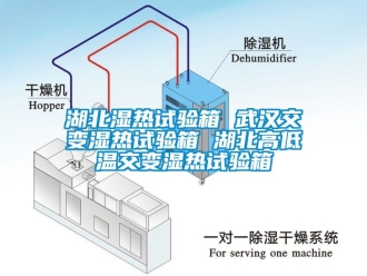 常見問題湖北濕熱試驗箱 武漢交變濕熱試驗箱 湖北高低溫交變濕熱試驗箱
