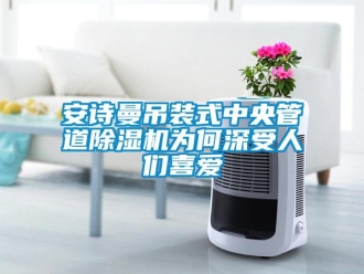 企業新聞安詩曼吊裝式中央管道除濕機為何深受人們喜愛