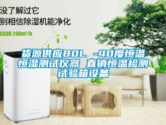 知識百科貨源供應80L -40度恒溫恒濕測試儀器 直銷恒溫檢測試驗箱設備