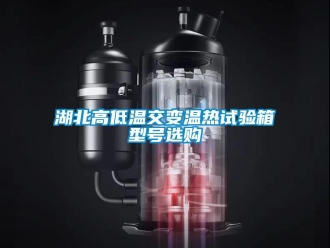 常見問題湖北高低溫交變溫?zé)嵩囼?yàn)箱型號選購