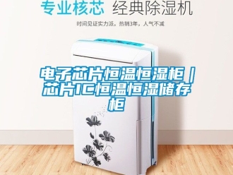 知識百科電子芯片恒溫恒濕柜｜芯片IC恒溫恒濕儲存柜