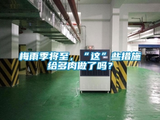 常見問題梅雨季將至，“這”些措施給多肉做了嗎？