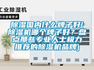 企業新聞除濕國內什么牌子好(除濕機哪個牌子好？盤點那些專業人士極力推薦的除濕機品牌)