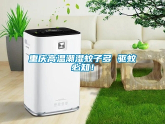 知識百科重慶高溫潮濕蚊子多 驅蚊必知！