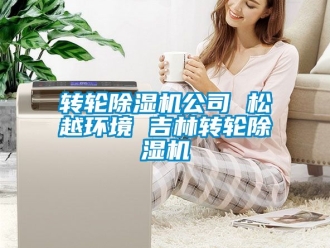 常見問題轉(zhuǎn)輪除濕機公司 松越環(huán)境 吉林轉(zhuǎn)輪除濕機